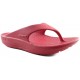 Telic Terox pantoufles anatomiques très confortable  ROJO