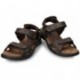 SANDALES PANAMA JACK SALTON BASICS BROWN_C1