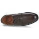 CLARKS CHILVER WALK GTX color MARRON
