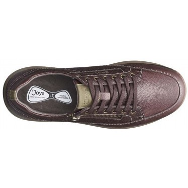 BASKETS BIJOU BRUNO DARK_BROWN