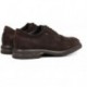 Chaussure homme belge FLUCHOS F0631 CAFE