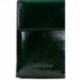 Hispanitas Sac à bandoulière pour femme BI243529 Mini FOREST