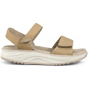 BIJOU FLORAL BEIGE_2024